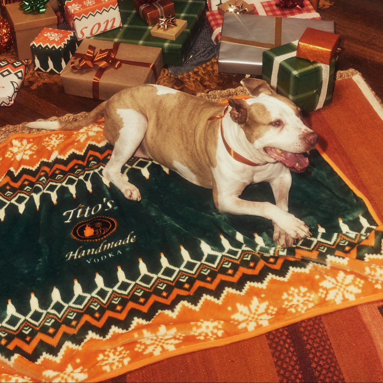 Dog laying on Tito's Ugly Dog Blanket in front of presents