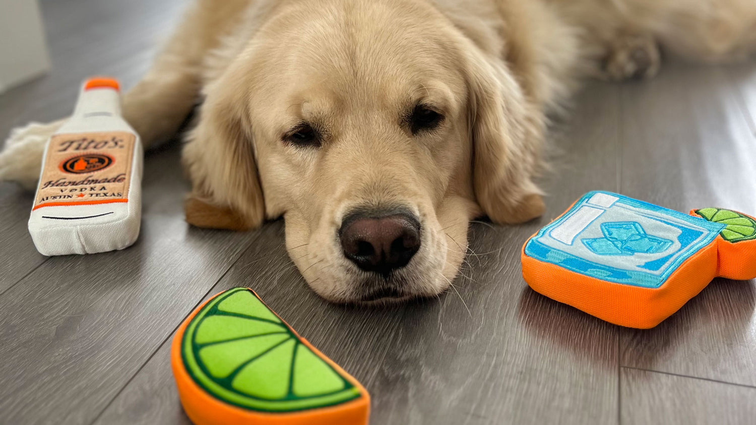 Golden Retriever with Tito's Puptail Kit