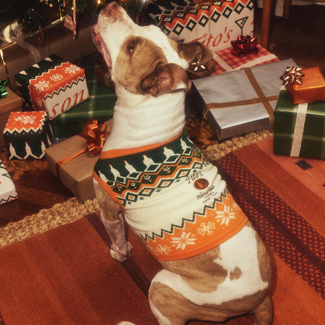 Dog wearing a Tito's Ugly Dog  Sweater in a festive room with presents and decorations.