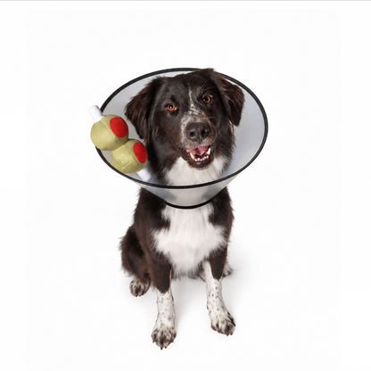 Black and white dog wearing a cone with Tito's Dogtini Olive clip on featuring two stuffed olives 