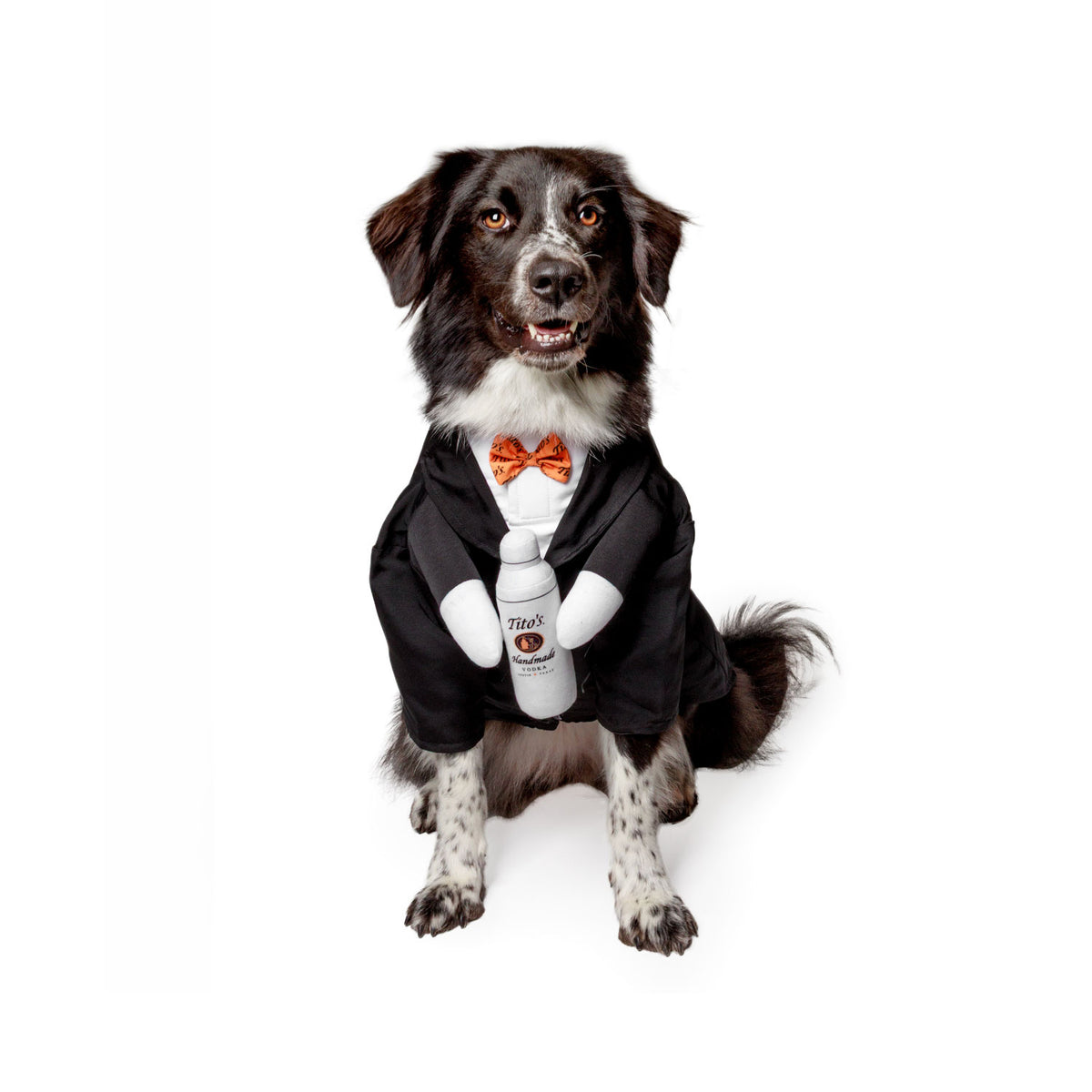 Black and white dog wearing Tito's Puptender costume featuring a white shirt and black jacket, stuffed arms holding a stuffed toy cocktail shaker with the Tito's Handmade Vodka logo, and an orange bowtie with Tito's word marks printed on it 