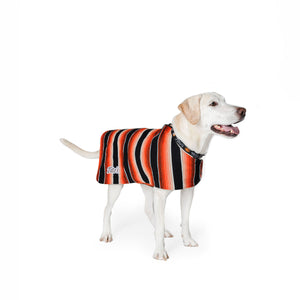 Labrador wearing black, white, orange, and red dog serape with Tito's wordmark