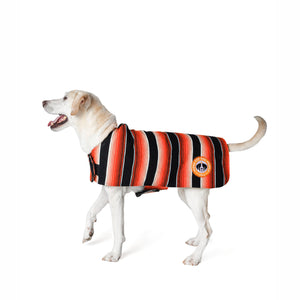 Labrador wearing black, white, orange, and red dog serape with Vodka for Dog People logo