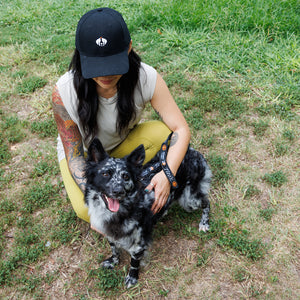 Woman wearing Tito's Dog Person Hat with black and white dog