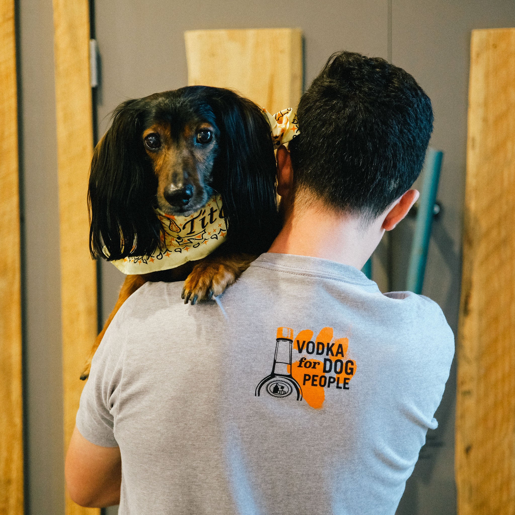 Back of person holding a dog and wearing gray short-sleeve t-shirt with Vodka For Dog People logo